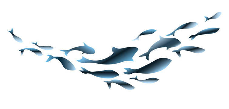 Blue flock fish. School of fish. Logo template design. Vector illustration.