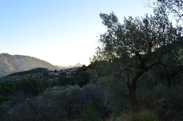 Valle del Guadalest naturaleza Alicante