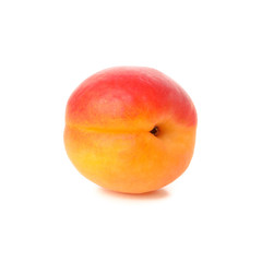 Fresh tasty apricot isolated on white background