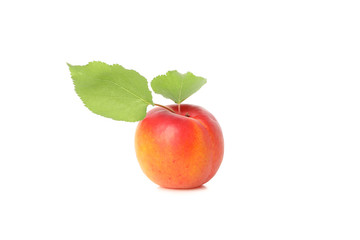 Fresh tasty apricot isolated on white background