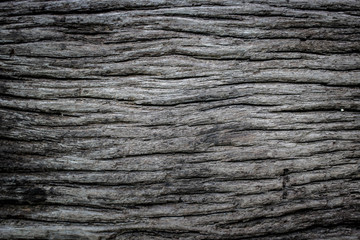 Embossed texture of the brown bark.Tree bark texture. Seamless bark tree texture. texture of bark wood use as natural background