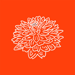 Vector Flower Illustration Assets template design