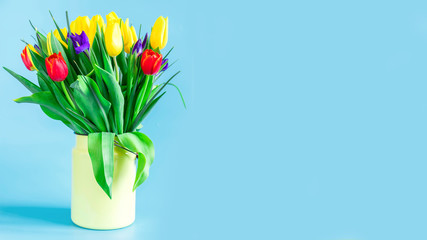 A bouquet of tulips stands in a can on a blue background. The concept of the holiday and congratulations. Place for text.
