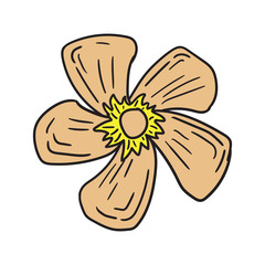 Vector Flower Illustration Assets template design