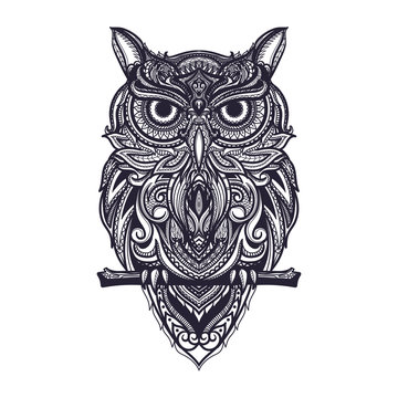 Hand drawn doodle zentangle owl illustration