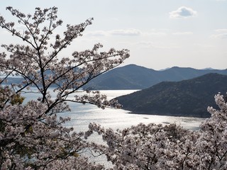 万葉岬春の眺望
