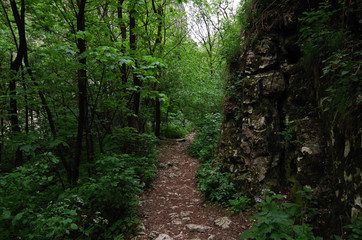 Rugged Nature