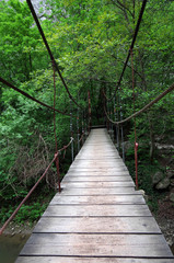 Rocking Bridge