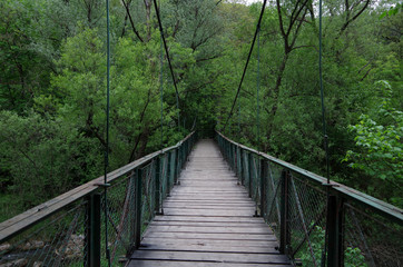 Sturdy Bridge