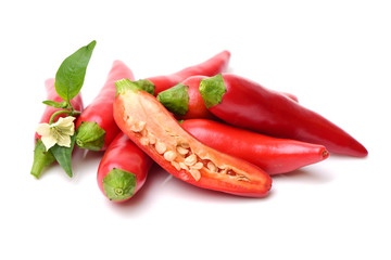 Red chili peppers on white background