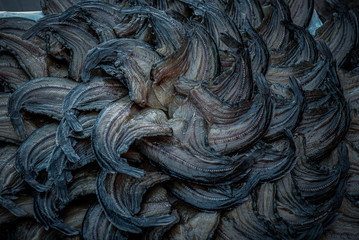 The dried fish on net in sunlightx