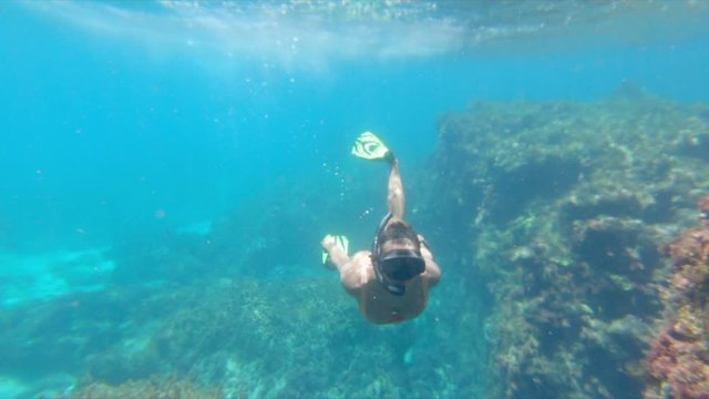Young woman snorkeling in blue water under cave, female tourist swimming and exploring sea - Montego Bay, Jamaica