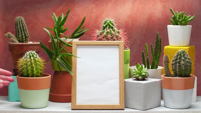Hand putting down cactus on white shelf with room decorations, succulent plant and picture frame mockup against old brick color wall.