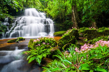 Obrazy na Szkle  Beautiful nature waterfall steps rock mountain with Snapdragon flower (Pink Habenaria rhodocheila) in tropical rainforest at Mun Dang Waterfall, Phu Hin Rong Kla National Park, Phetchabun, Thailand