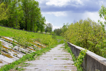 Asphalt pathway among green trees on a cloudy day