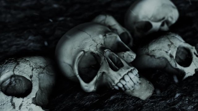 Ancient Pile of Human Skulls on the Ground
