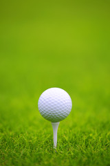 Golf ball on green grass background - 350253007