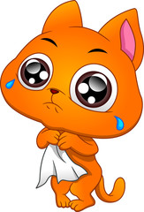 cute cat cartoon on a white background