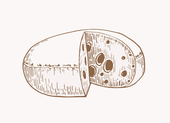 Hand-drawn cheese , sepia background, vector vintage illustration, dairy shop product