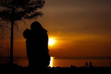 silhouette of couple on the beach with a beautiful sunset in background.Loving couple, the silhouette of people, trees and plants in the background.
