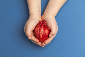 Heart transplant, children hands holds organ on blue background. Coronary surgery, care for organ.