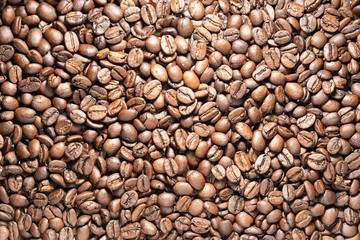 coffee beans full of screen