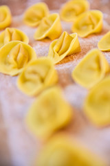 homemade preparation of egg pasta tortelli stuffed with meat or ricotta and spinach