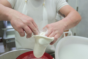 production of the typical apulian mozzarella called burrata. filling the burrata.