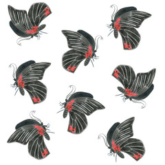 Black butterfly pattern on a white background. Black and red colors. Artist painting. Colored pencil illustration. 