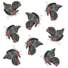 Stof per meter Vlinders Zwart vlinderpatroon op een witte achtergrond. Zwarte en rode kleuren. Kunstenaar schilderen. Kleurpotlood illustratie.