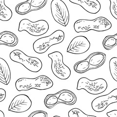 Seamless pattern with peanut images on white background. Food design. Hand drawn vector illustration. Peanuts, nuts in shell, leaves. Closeup tile texture for wrapping and packaging.