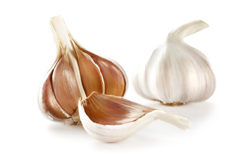 Fresh garlic on white space 