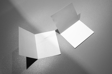 Blank portrait mock-up paper. brochure magazine isolated on gray, changeable background / white...