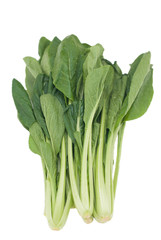fresh cos (lettuce) on white background.with clipping path