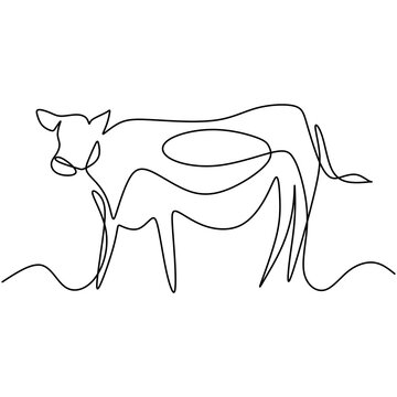 One line design silhouette of cow. Cow in the field. Village animal concept. Farmer activity. Hand drawn minimalism style. Vector illustration painting on white background.