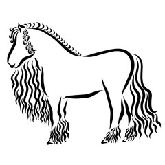 muscular horse with a beautiful hairstyle, braid