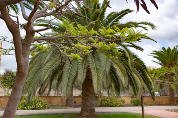 Bionite urban park with trees, grass, lake banks source.