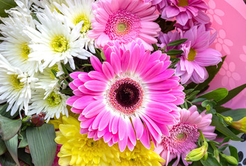 a beautiful combination of daisies and Barberton Daisy.