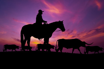 Cowboy silhouette with horse in the sunset,