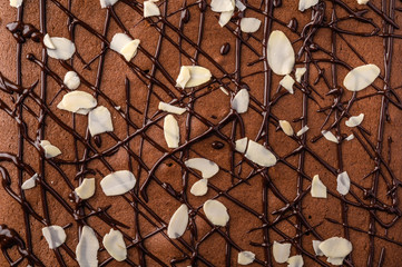 Brownie with chocolate and almond petals. Close up food background. Horizontal orientation