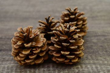 Pine cones flower on wooden