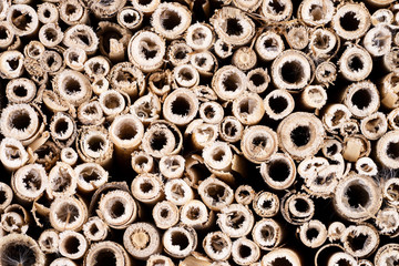 Closeup wooden Insect hotel. Shelter for insects made in wood
