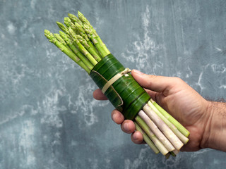 A bunch of asparagus in a male hand on a concrete background