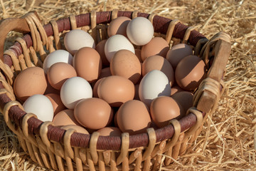 Huevos ecológicos blancos y negros en una cesta de mimbre de gallinas criadas en libertad en una...