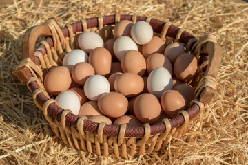 Huevos ecológicos blancos y negros en una cesta de mimbre de gallinas criadas en libertad en una...