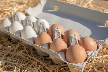 Huevos blancos y negros en hueveras de gallinas criadas en libertad en una granja