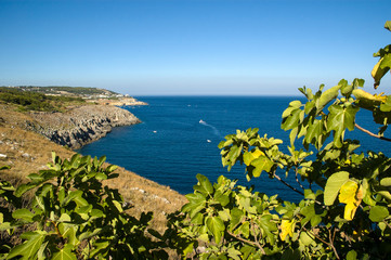 Natura selvaggia vista costa nel mare adriatico tra i colori del Salento