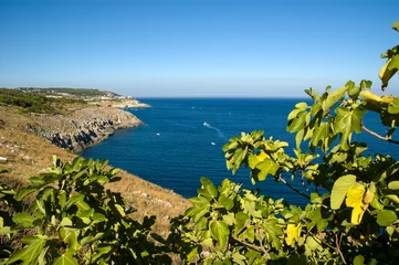 Fotobehang Natura selvaggia vista costa nel mare adriatico tra i colori del Salento © vincenzo