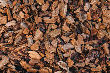Pieces of pine bark are carpeted on the surface of the earth. Red brown natural background. Concept of soil mulching in landscape design.