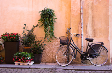 Black bicycle leaning on yellow wall with flowers plant pots in frame